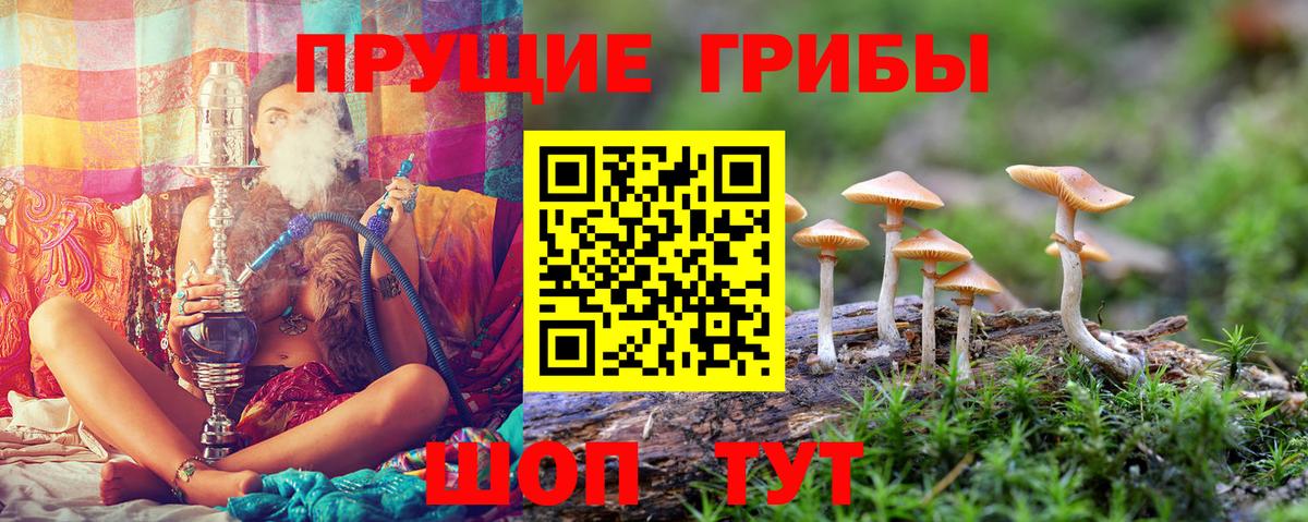 Галлюциногенные грибы Magic Shrooms Кызыл